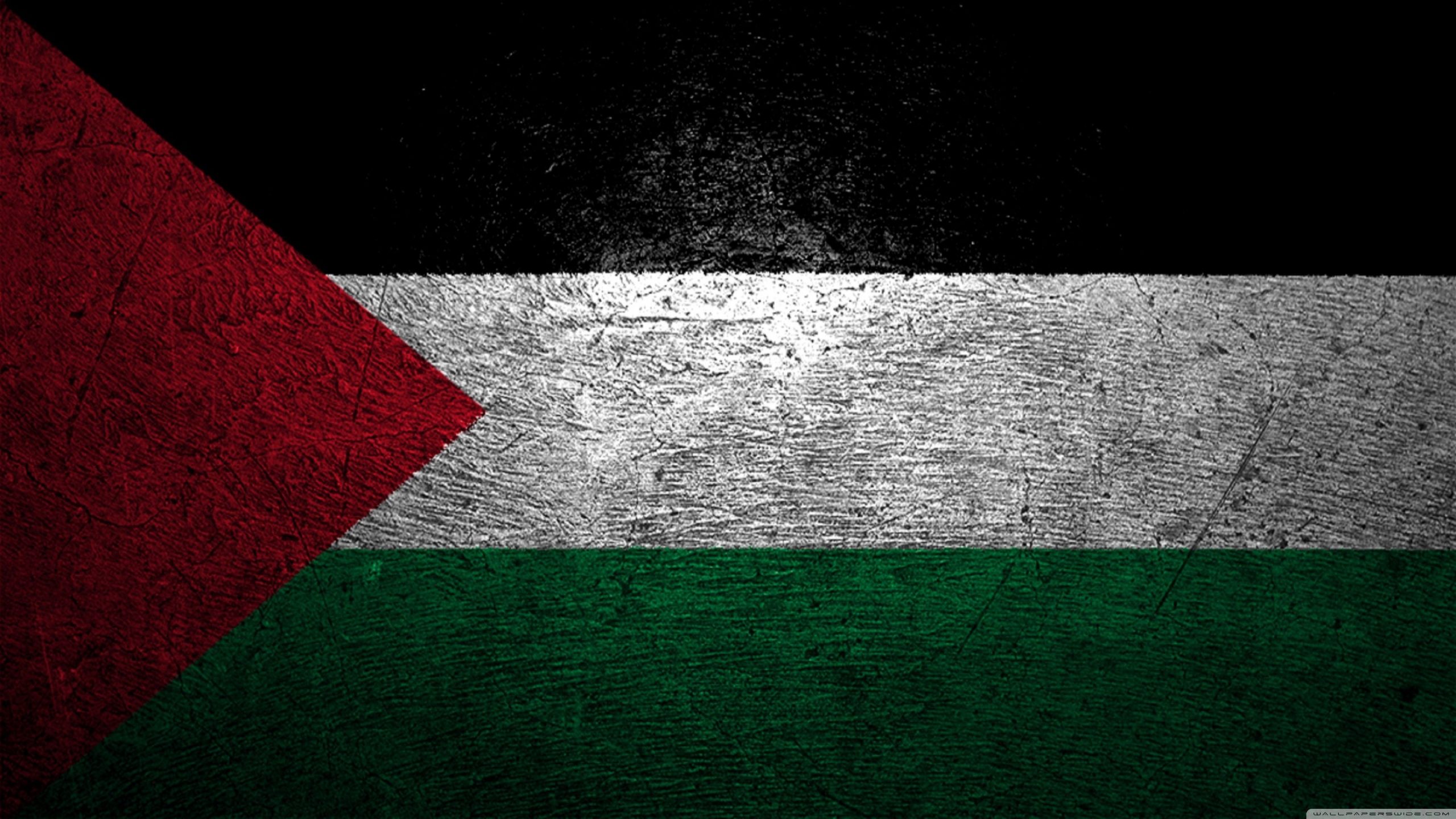 palestine-solidarity-zimbabwe-institute-of-diplomacy